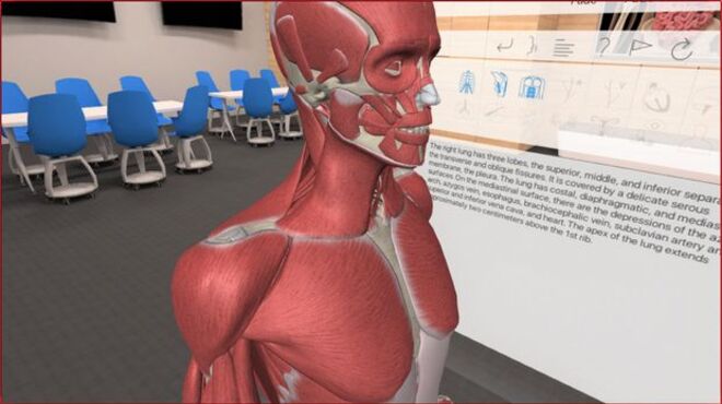 3D Organon VR Anatomy License Key